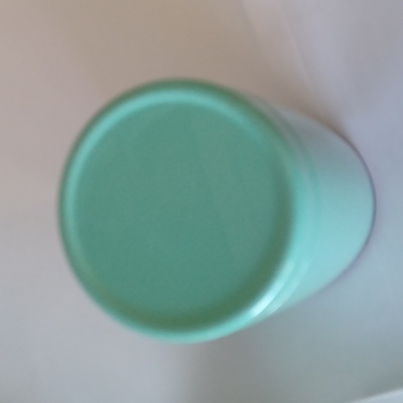 David's Tea Mint Green Stainless Steel Tumbler - Picture 4 of 6